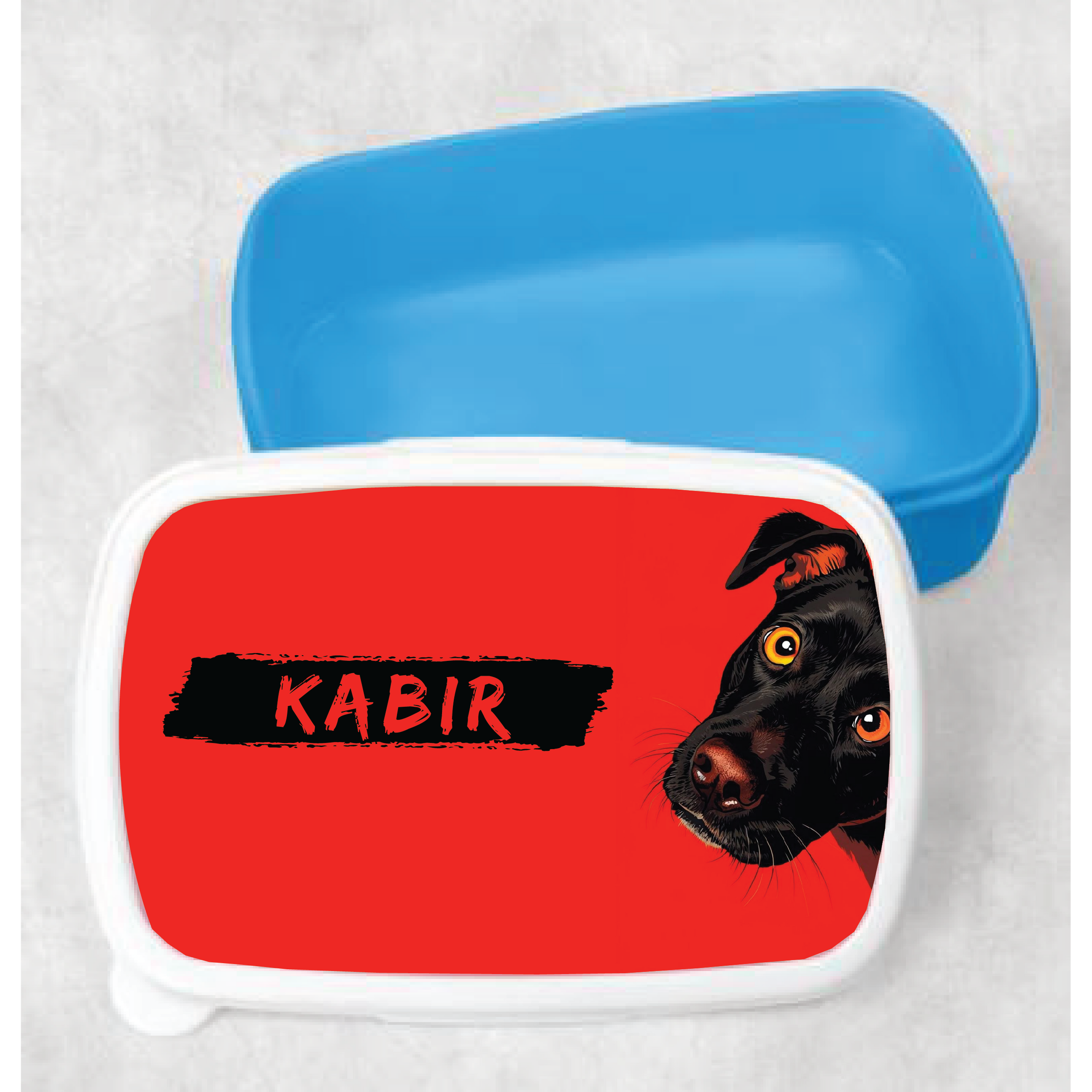 Kids Customized Lunch Box