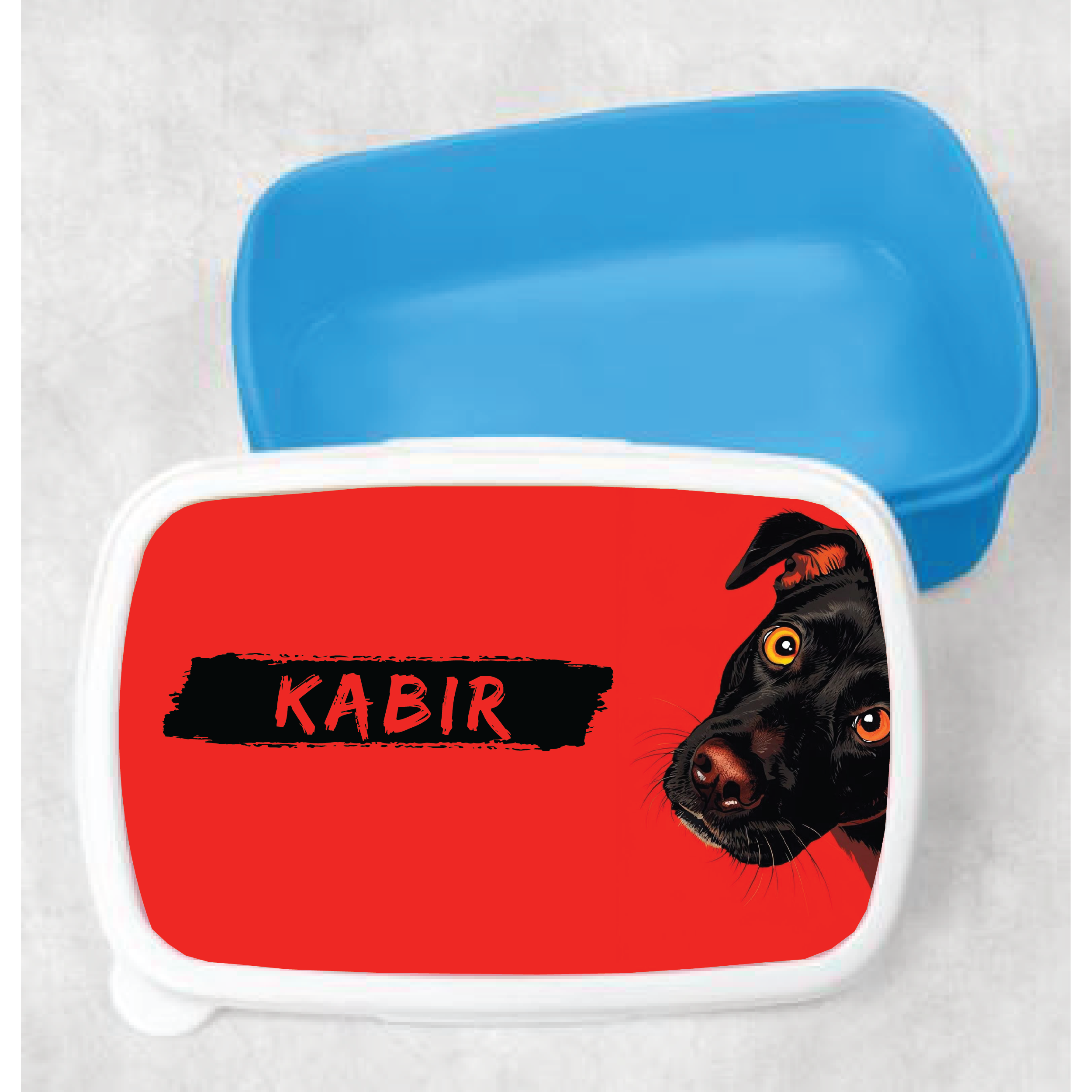 Kids Customized Lunch Box